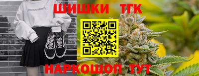 гидра Кингисепп