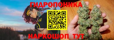 спайс Кандалакша